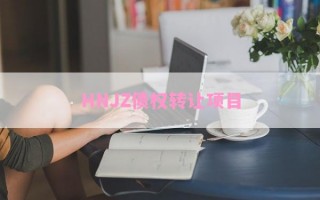HNJZ债权转让项目