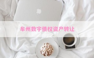 牟州数字债权资产转让