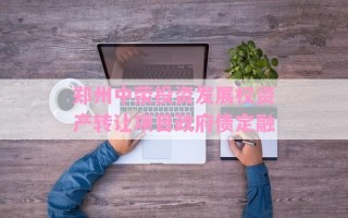 郑州中荥投资发展权资产转让项目政府债定融 郑州中荥投资发展权资产转让项目政府债定融