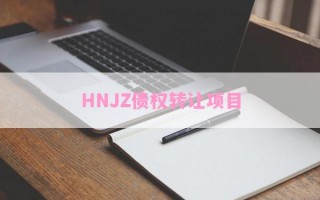 HNJZ债权转让项目