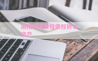 南阳鸭河发投债权转让资产