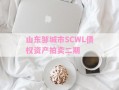 山东邹城市SCWL债权资产拍卖二期