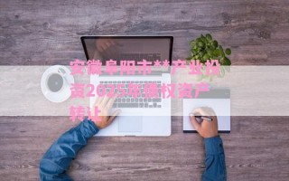 安徽阜阳市**产业投资2025年债权资产转让