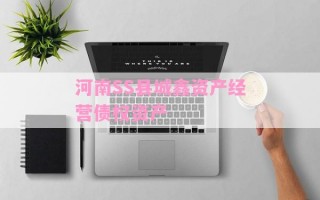 河南SS县城鑫资产经营债权资产