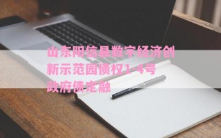 山东阳信县数字经济创新示范园债权1-4号政府债定融