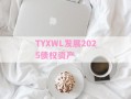 TYXWL发展2025债权资产