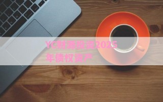 YC财源投资2025年债权资产