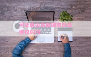 河北唐山高新国有投资债权01号