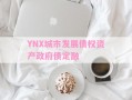 YNX城市发展债权资产政府债定融