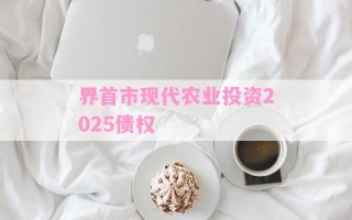 界首市现代农业投资2025债权