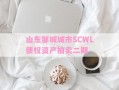 山东邹城城市SCWL债权资产拍卖二期