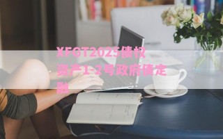 XFGT2025债权资产1-2号政府债定融