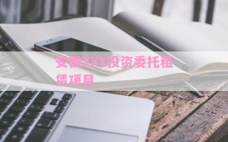 安徽XXX投资委托租赁项目