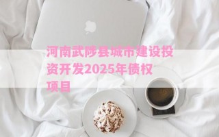 河南武陟县城市建设投资开发2025年债权项目