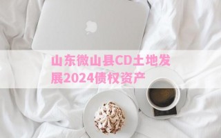 山东微山县CD土地发展2024债权资产