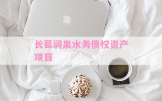 长葛润泉水务债权资产项目