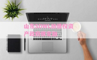 山东SDWL旅债权资产政府债定融