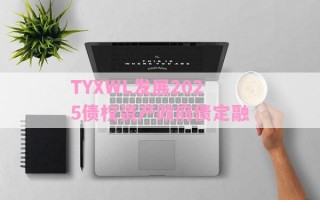 TYXWL发展2025债权资产政府债定融