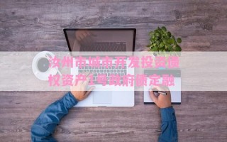 汝州市城市开发投资债权资产1号政府债定融