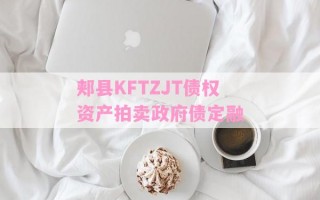 郏县KFTZJT债权资产拍卖政府债定融