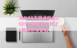 湖北XX市国通投资2025年债权资产转让1期政府债定融