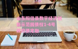 山东阳信县数字经济创新示范园债权1-4号政府债定融