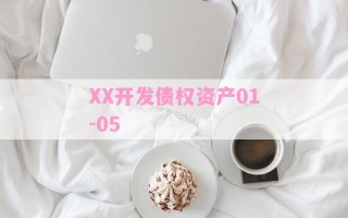 XX开发债权资产01-05