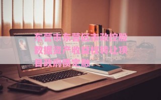 东营市东营区市政控股数据资产收益权转让项目政府债定融