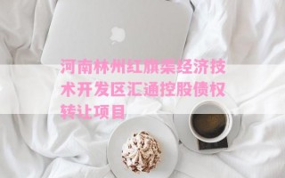 河南林州红旗渠经济技术开发区汇通控股债权转让项目
