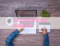 HNJZ债权转让项目政府债定融