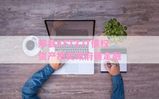 郏县KFTZJT债权资产拍卖政府债定融
