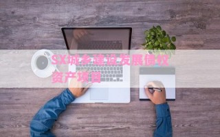 SX城乡建设发展债权资产项目