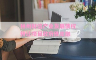 林州财信产业发展债权转让项目政府债定融