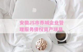 安徽JS市养城企业管理服务债权资产项目