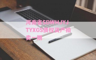 河南省SDWHJYJTYXGS债权资产拍卖一期