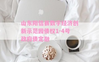 山东阳信县数字经济创新示范园债权1-4号政府债定融