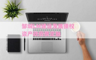 邹城LM建设发展债权资产政府债定融