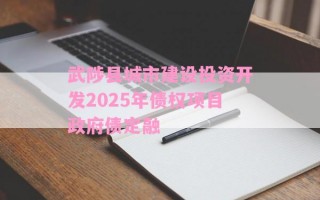 武陟县城市建设投资开发2025年债权项目政府债定融