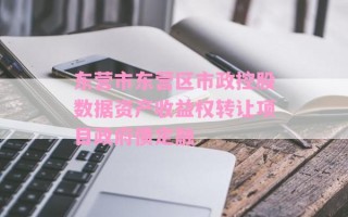 东营市东营区市政控股数据资产收益权转让项目政府债定融