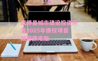 武陟县城市建设投资开发2025年债权项目政府债定融