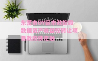 东营市DY区市政控股数据资产收益权转让项目政府债定融