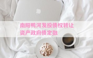 南阳鸭河发投债权转让资产政府债定融