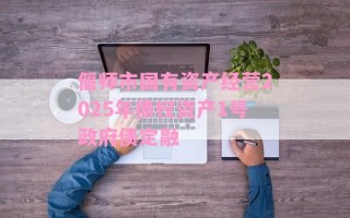 偃师市国有资产经营2025年债权资产1号政府债定融