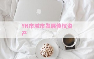 YN市城市发展债权资产