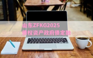 山东ZFKG2025债权资产政府债定融