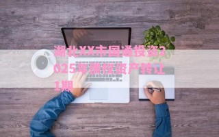 湖北XX市国通投资2025年债权资产转让1期