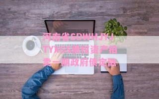 河南省SDWHJYJTYXGS债权资产拍卖一期政府债定融