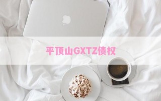 平顶山GXTZ债权