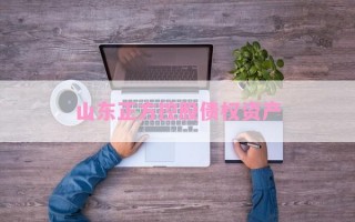 山东正方控股债权资产