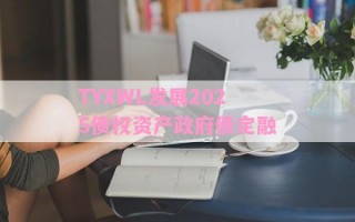 TYXWL发展2025债权资产政府债定融